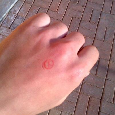 184430_541397549221106_1550165514_n.jpg : 인증