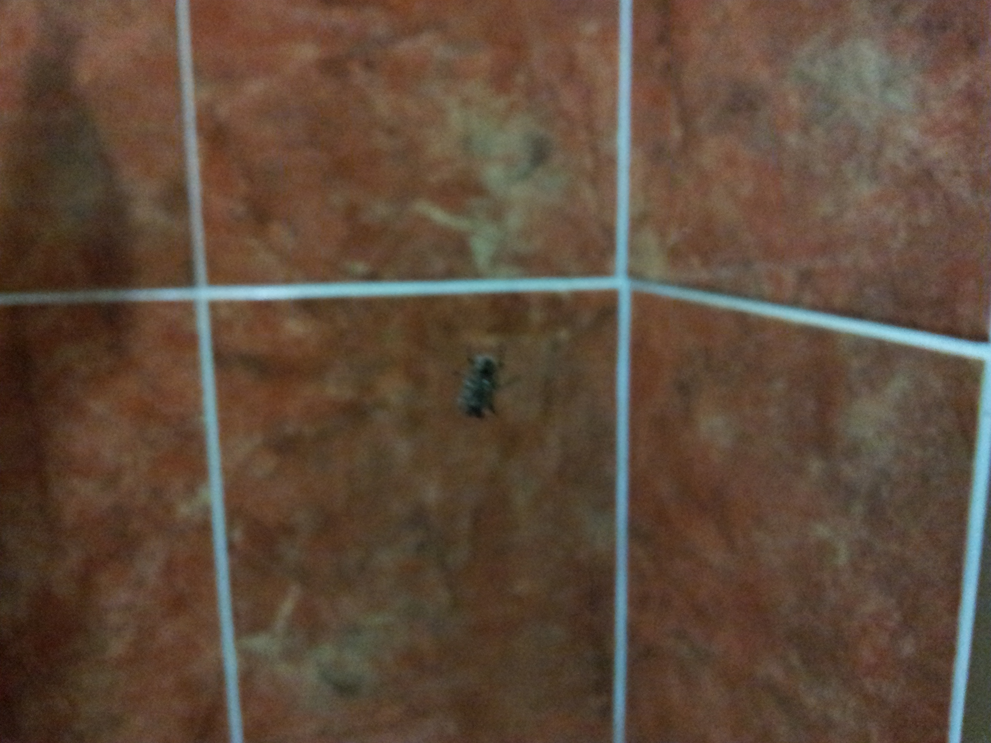 2011-08-31 20.29.50.jpg