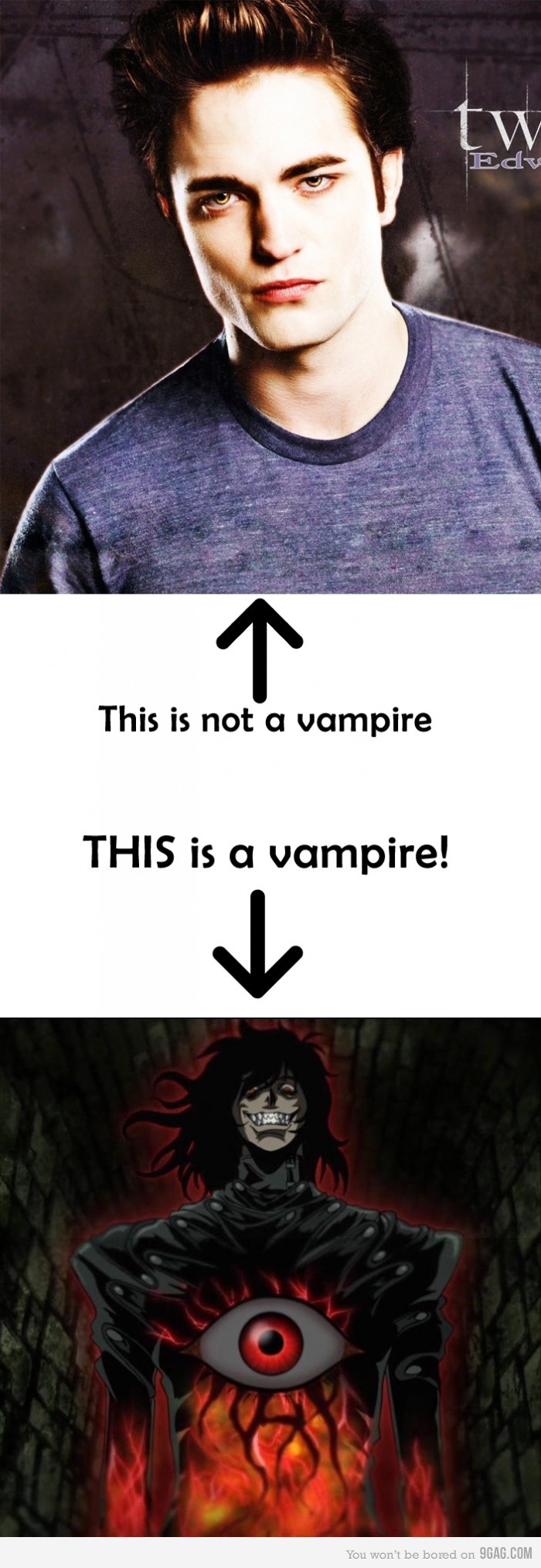 트와일라잇.jpg : 트와일라잇 왜 봄