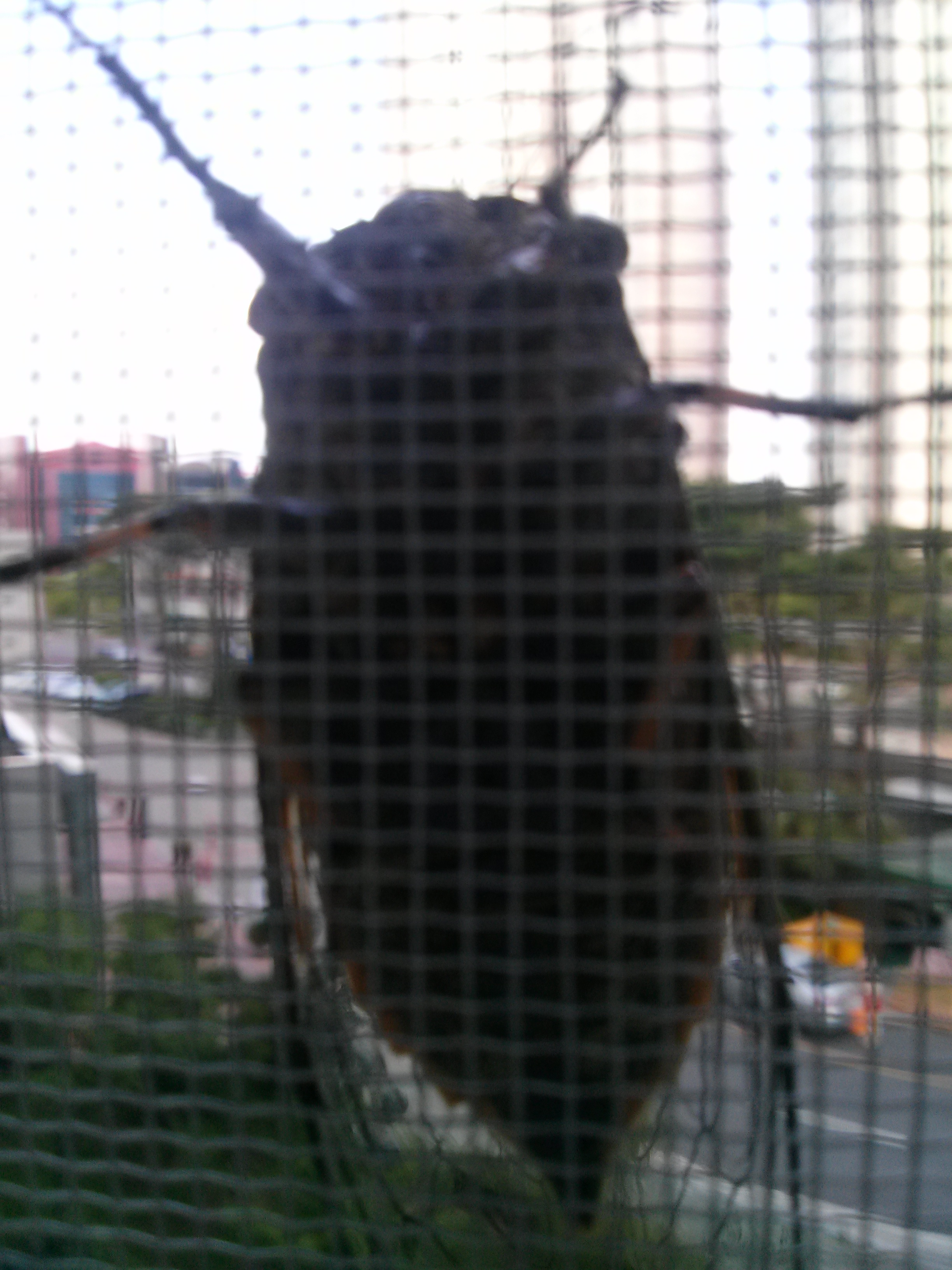 CAM00111.jpg