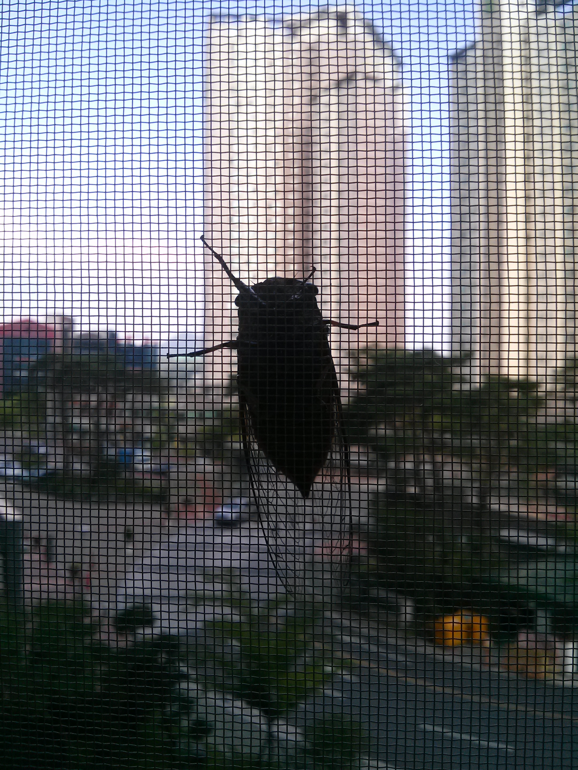 CAM00112.jpg