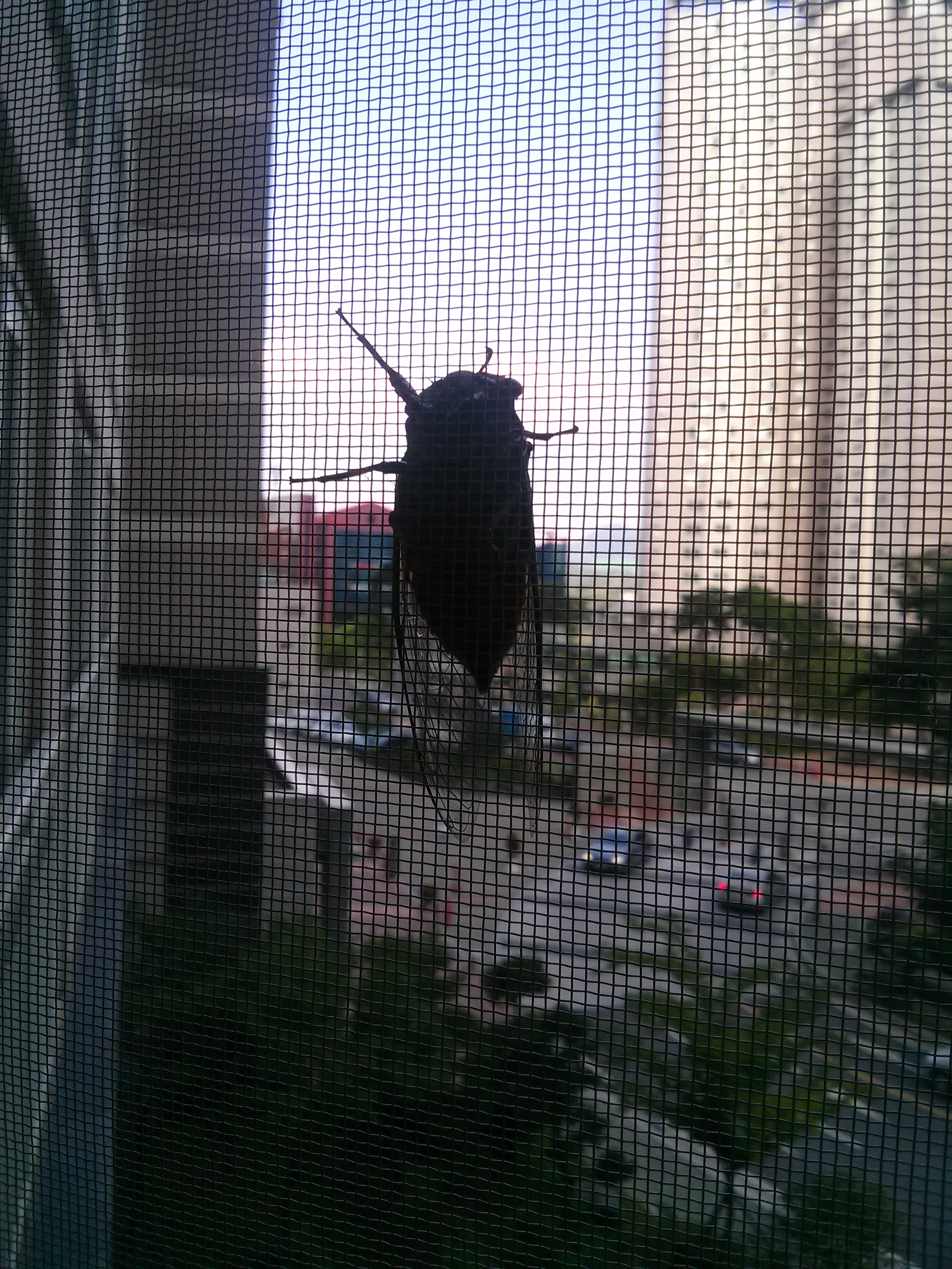 CAM00110.jpg