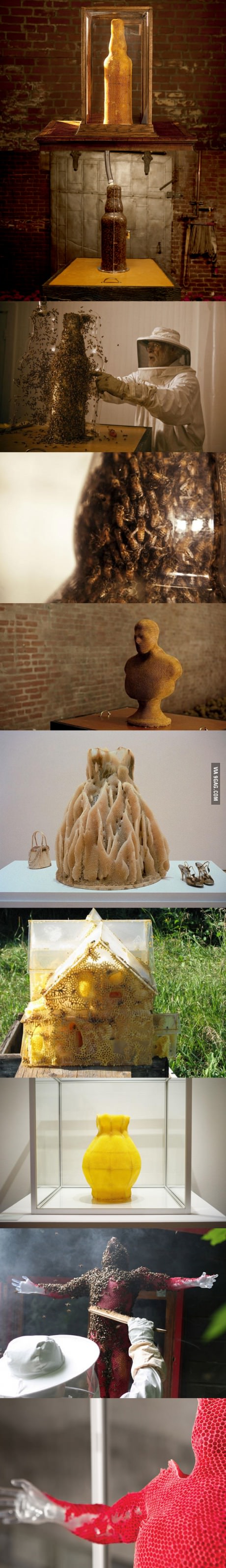 Amazing 3D Sculptures Built by Bees.
