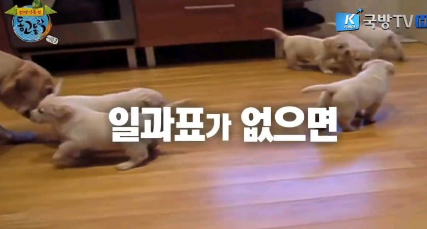 5354734A3E03270013 5354734A3E03270013