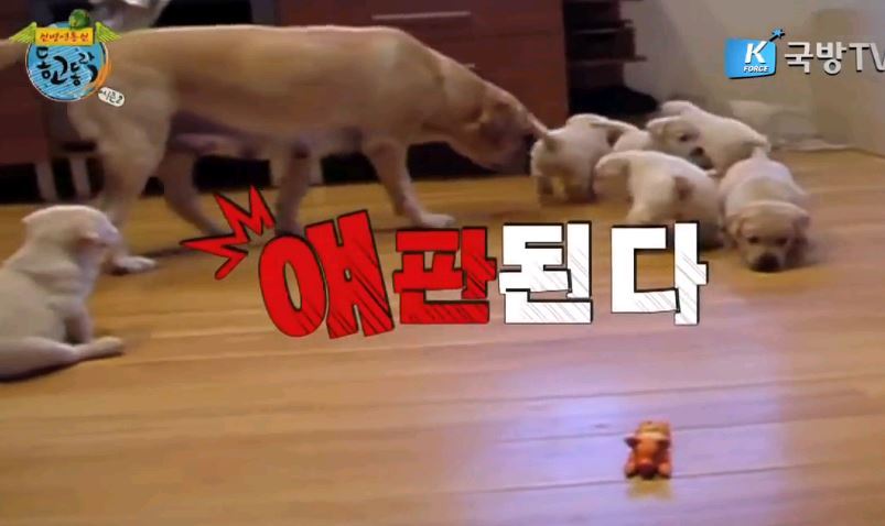 5354734B3E31B90006 5354734B3E31B90006